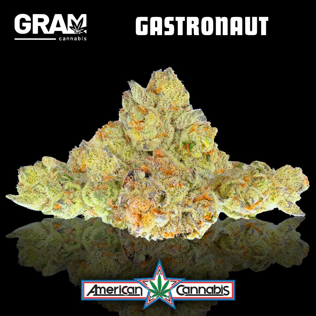 Gastronaut
