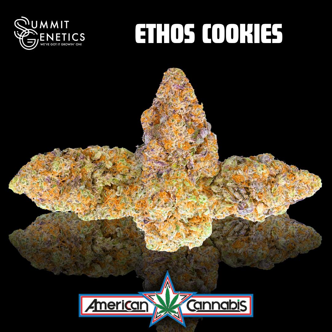 [Flower] Summit Genetics Ethos Cookies 3.5g [Sativa]
