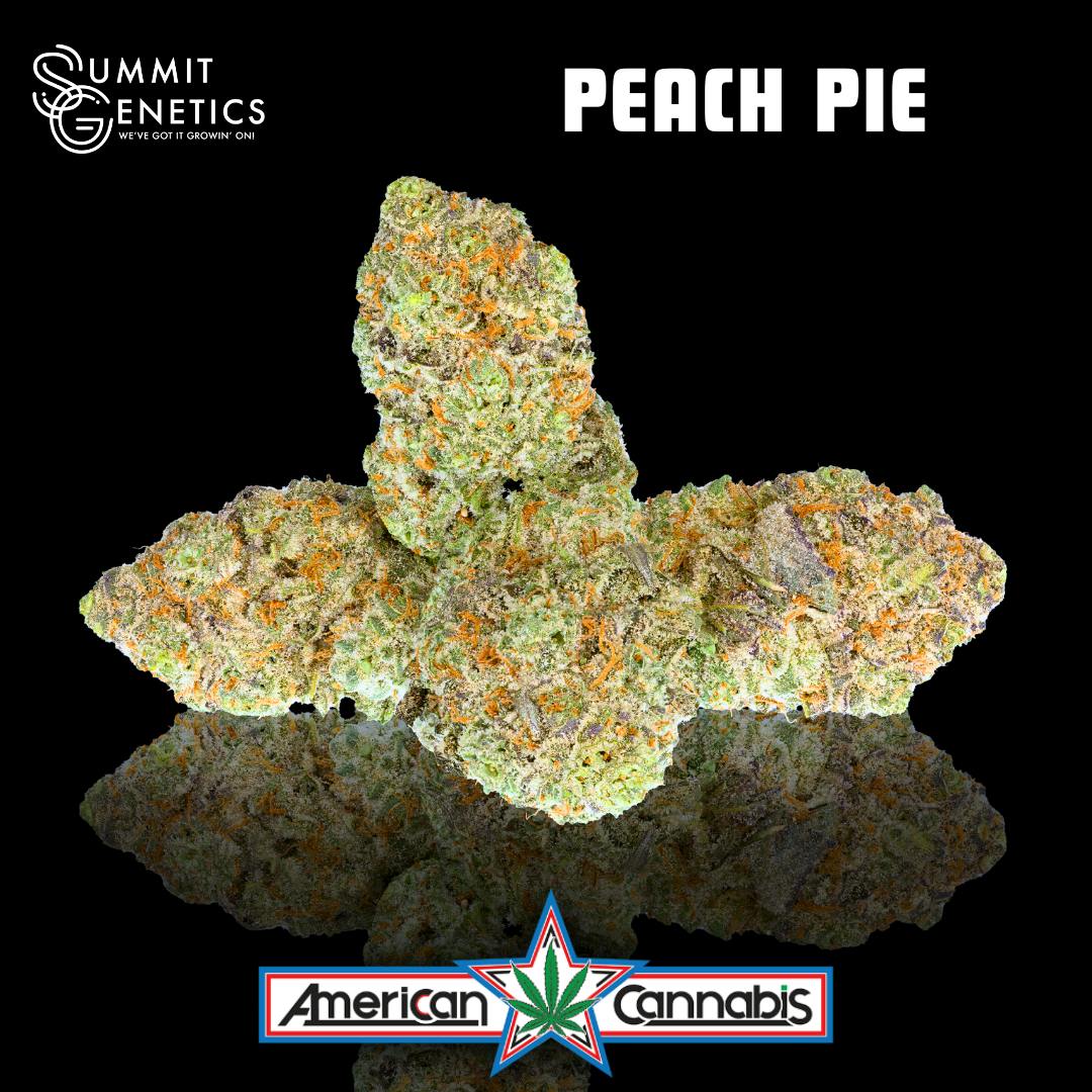 [Flower] Summit Genetics Peach Pie 14g [Indica]