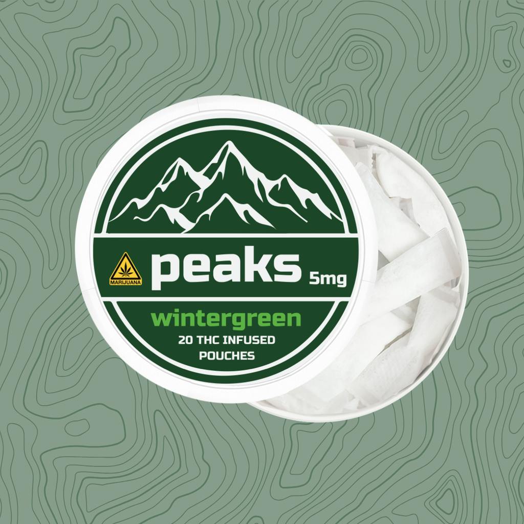 Peaks Wintergreen Infused Pouches 5mg Each | 20 Pack