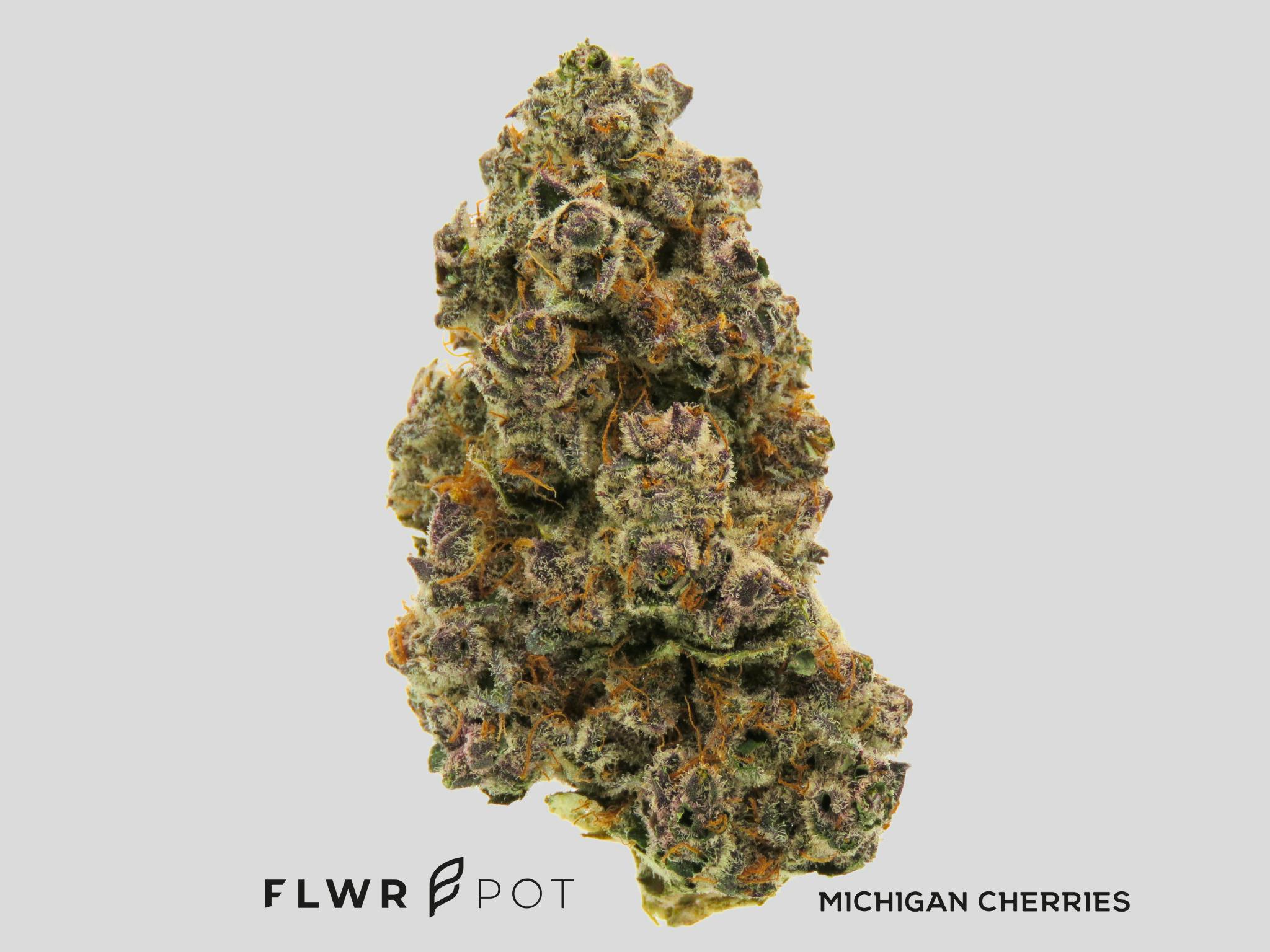 FLWRpot Michigan Cherries Buds at Higher Love Cannabis Dispensary Munising