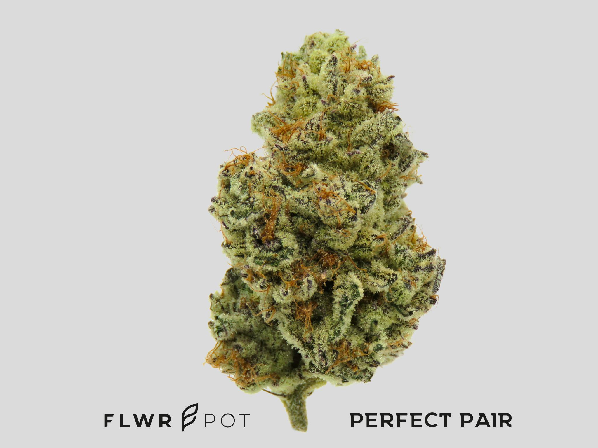 FLWRpot Perfect Pair Buds at Higher Love Cannabis Dispensary Munising