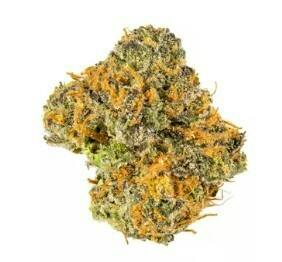 Green | Gush Mints
