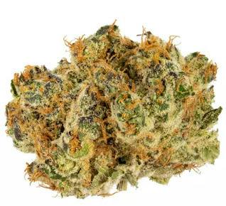 High Lights | Dulce De Papaya