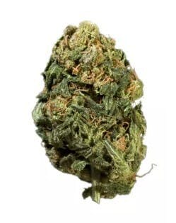 Phantom Farms | Lemon Fresh