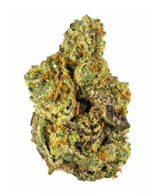 Baseline | Gush Mints