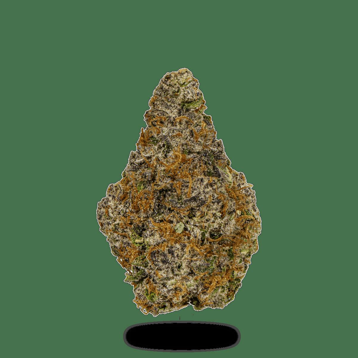 State Flower | Zangria