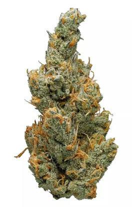 GLP | Bernie Hana Butter