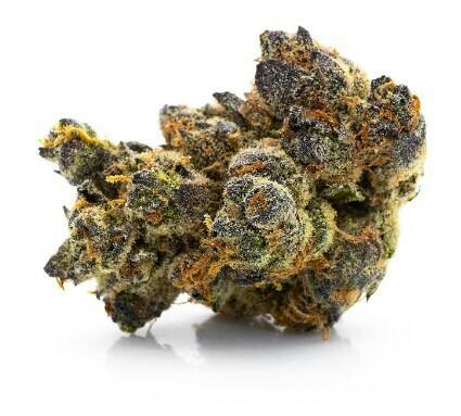 SeCHe Select | GMO