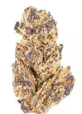 STIIIZY | White Truffle