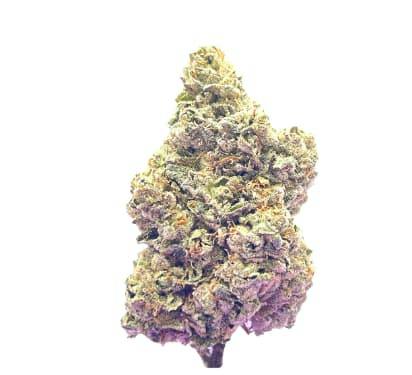 Royal Dive #7: Scarface OG 3.5g Dried Flower