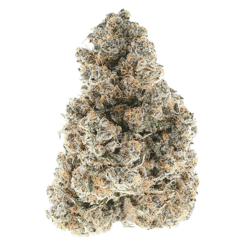 Coterie - Super Boof 7g Dried Flower