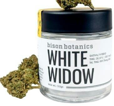 Bison White Widow 8th