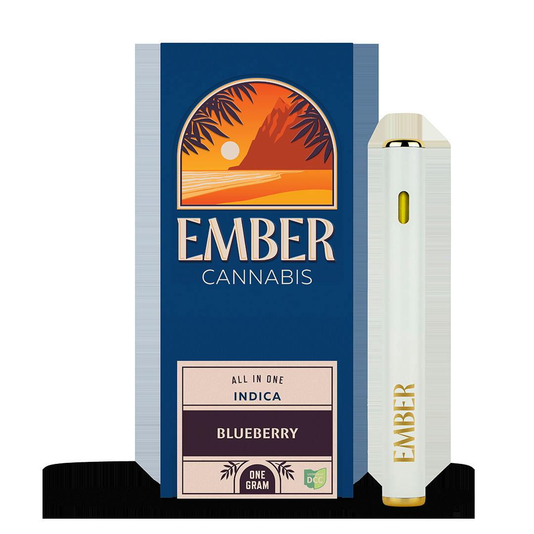 Blueberry All In One - 1029208
