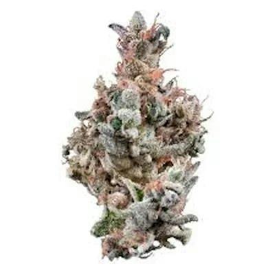 Yesca Flower - 1345019