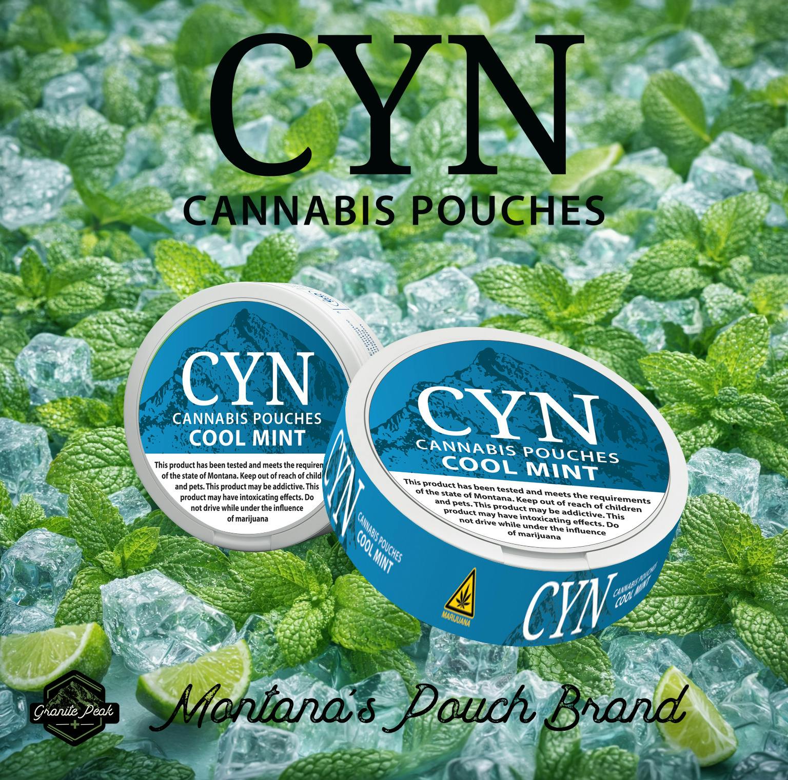 Cyn Pouches - Cool Mint