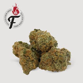 Blue Dream - Hybrid Sativa - Fuego