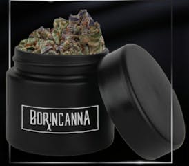 Borincanna - Zombie Kush - Pre-Pack 14 g