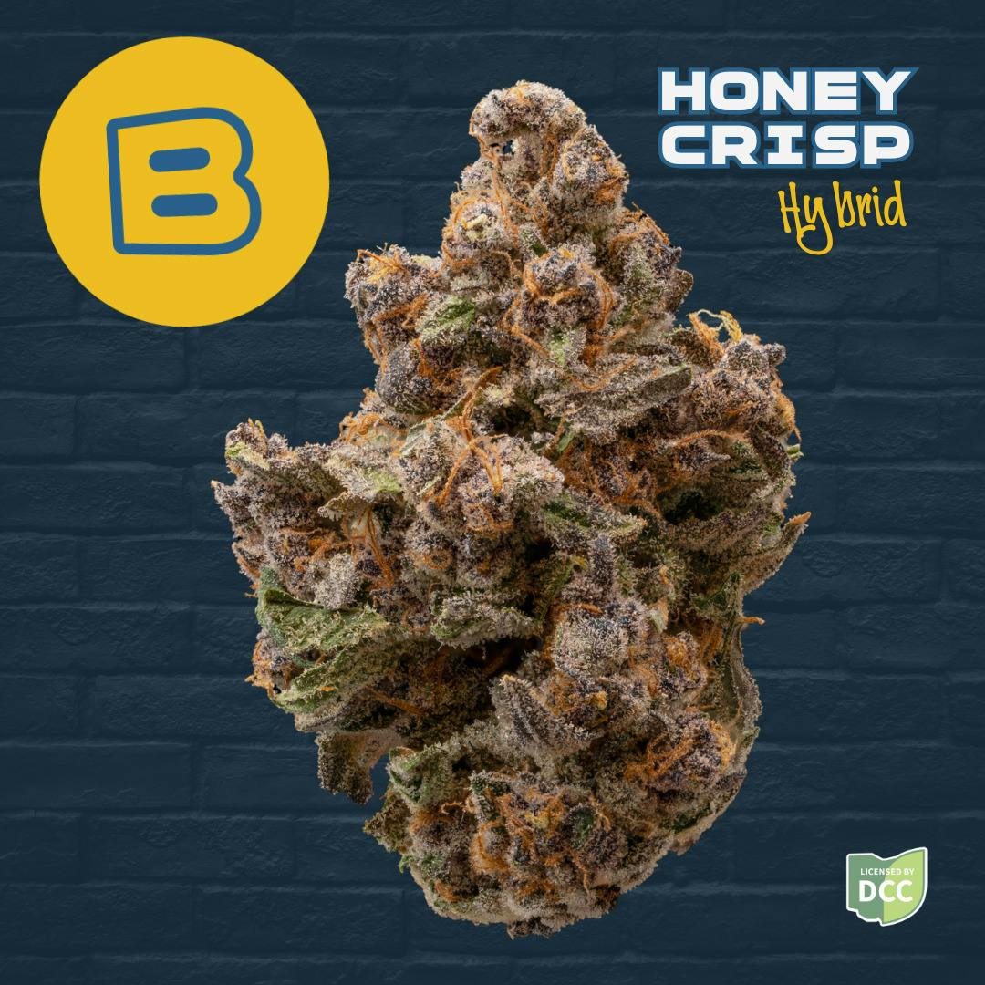 Honey Crisp (H) Flower
