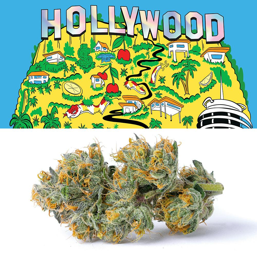 Cookies Hollywood 3.5g Hybrid