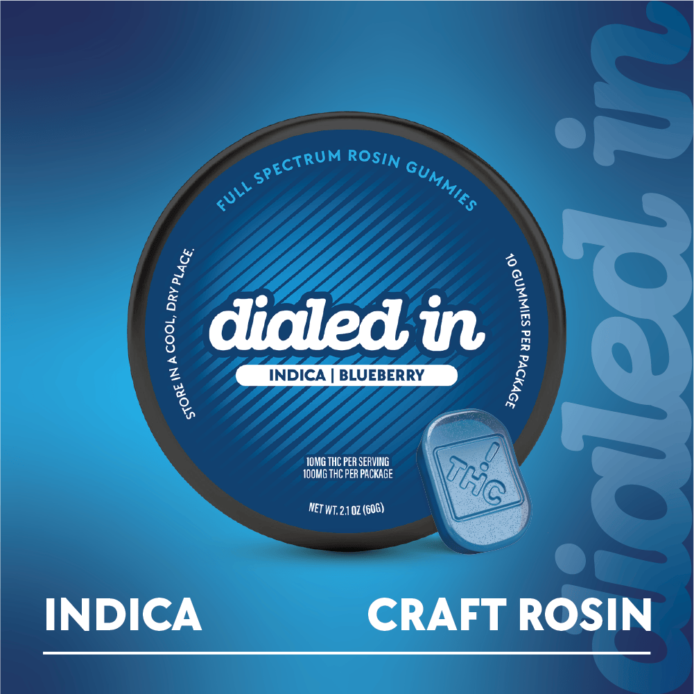 Dialed In Blueberry Gummies 100mg,10pk