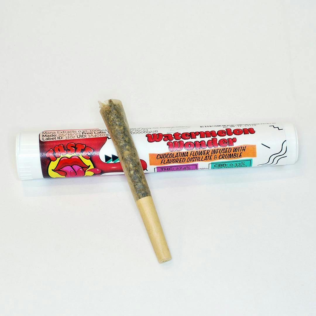 Taste Budz Infused - Watermelon Wonder