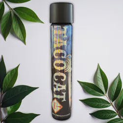 TACOCAT | Headband Cookies | Live Resin 1.25g Cone