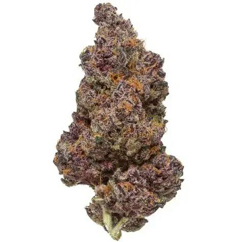 Campfire Cannabis - 4g Flower - Tropicana Cherry (S/H) at Legacy Cannabis