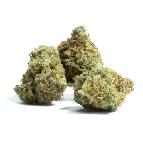 Campfire Cannabis - 4g Flower - Pink Lemonade (I/H) at Legacy Cannabis