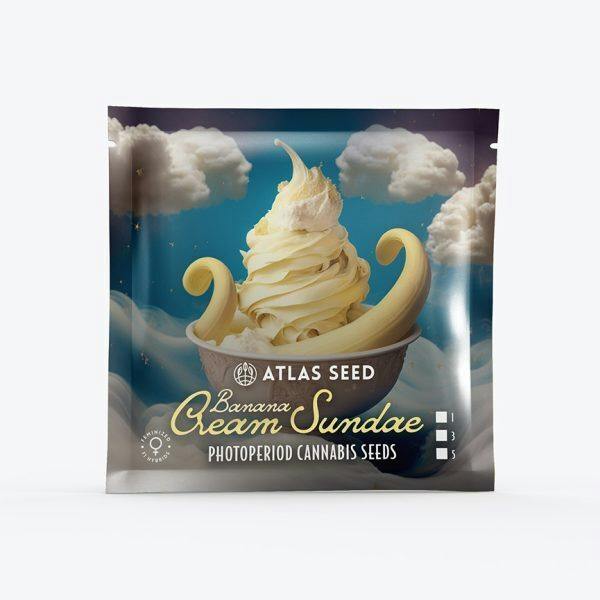 Atlas Seeds - Photo - Banana Cream Sundae - 3pk