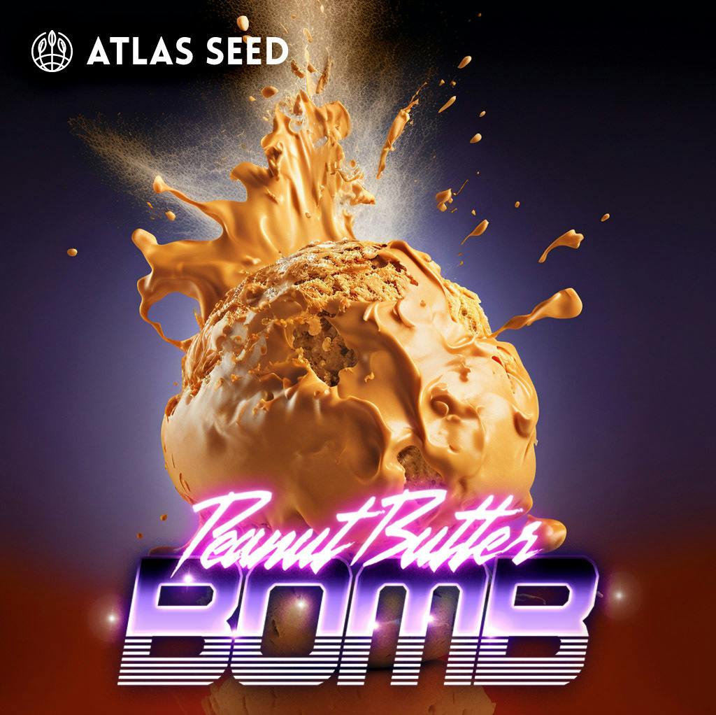 Atlas Seeds - Photo - Peanut Butter Bomb - 3pk at Legacy Cannabis