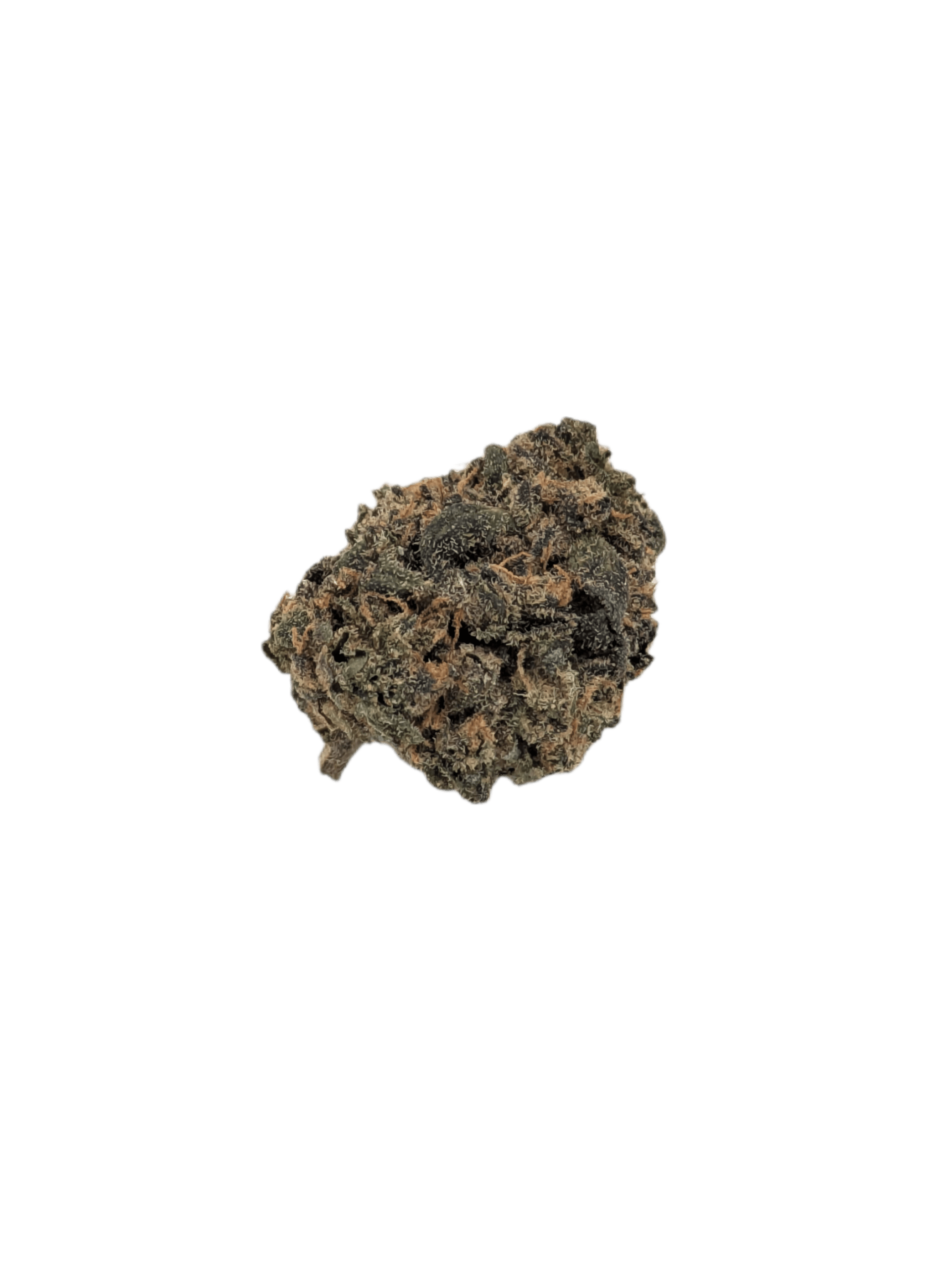 Campfire Cannabis - 4g Flower - Purple Milk (S/H) at Legacy Cannabis