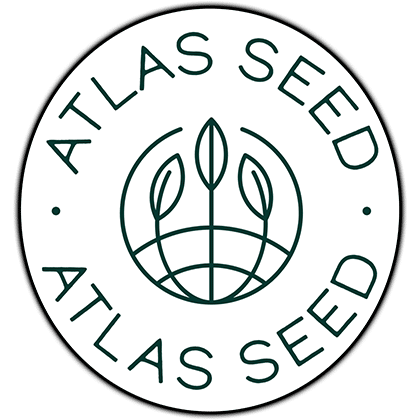 Atlas Seeds - Photo - Gorilla Apple Candy - 3pk at Legacy Cannabis