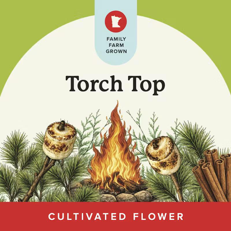 Verist Fields - 3.5g Flower - Torch Top (I/H) at Legacy Cannabis