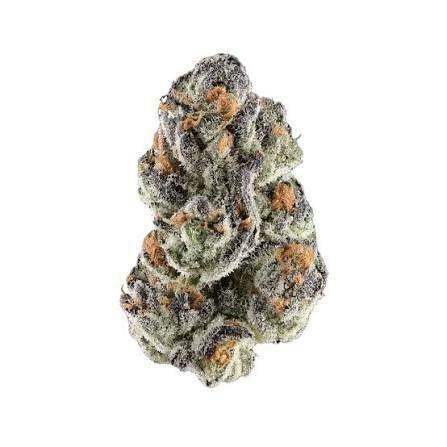 Akron Bloom | Snake Venom (Indica-Hybrid) | 7G Flower