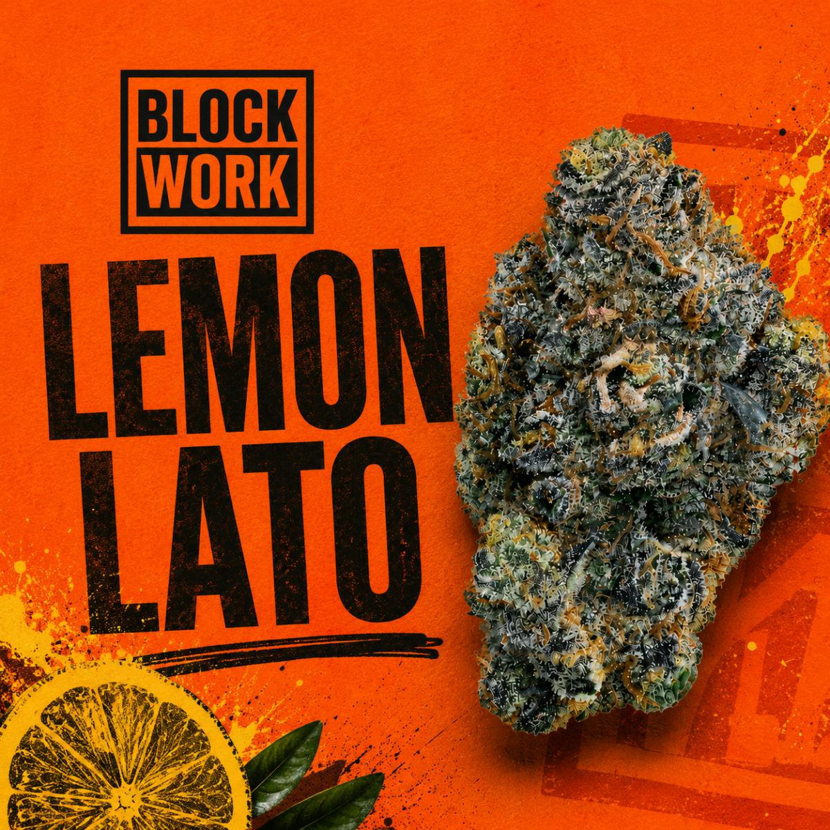 Blockwork Lemon Lato 3.5g Flower (C0193900024)