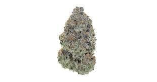 Grassroots Whole Flower 3.5g Triple Mints (I) 01954 TC 34.738%