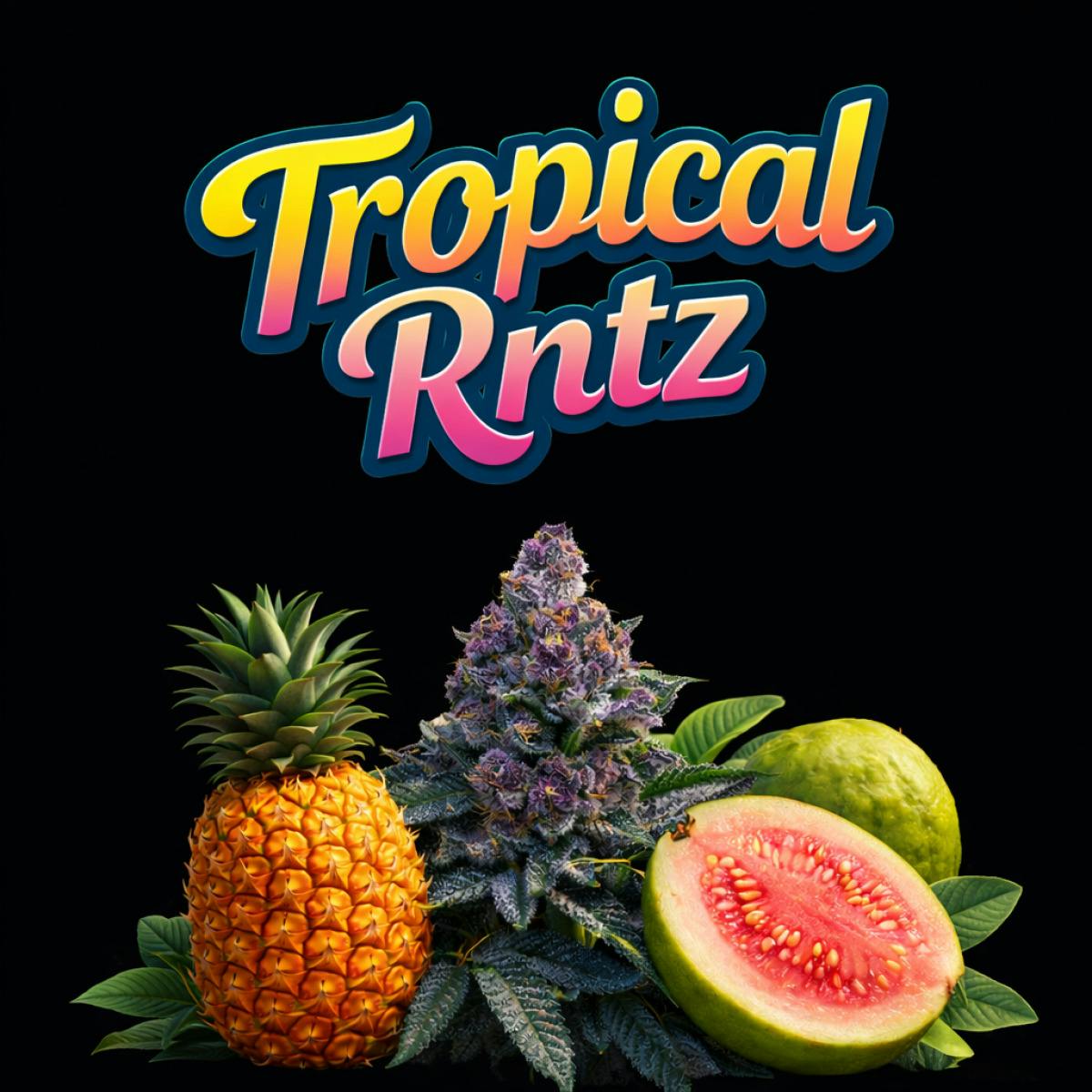 The Goods Whole Flower 3.5g Tropical Rntz (C0193450001)