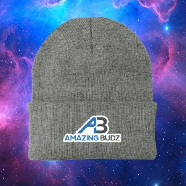 AB GREY BEANIE