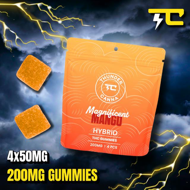 MANGO GUMMIES 4CT 200MG