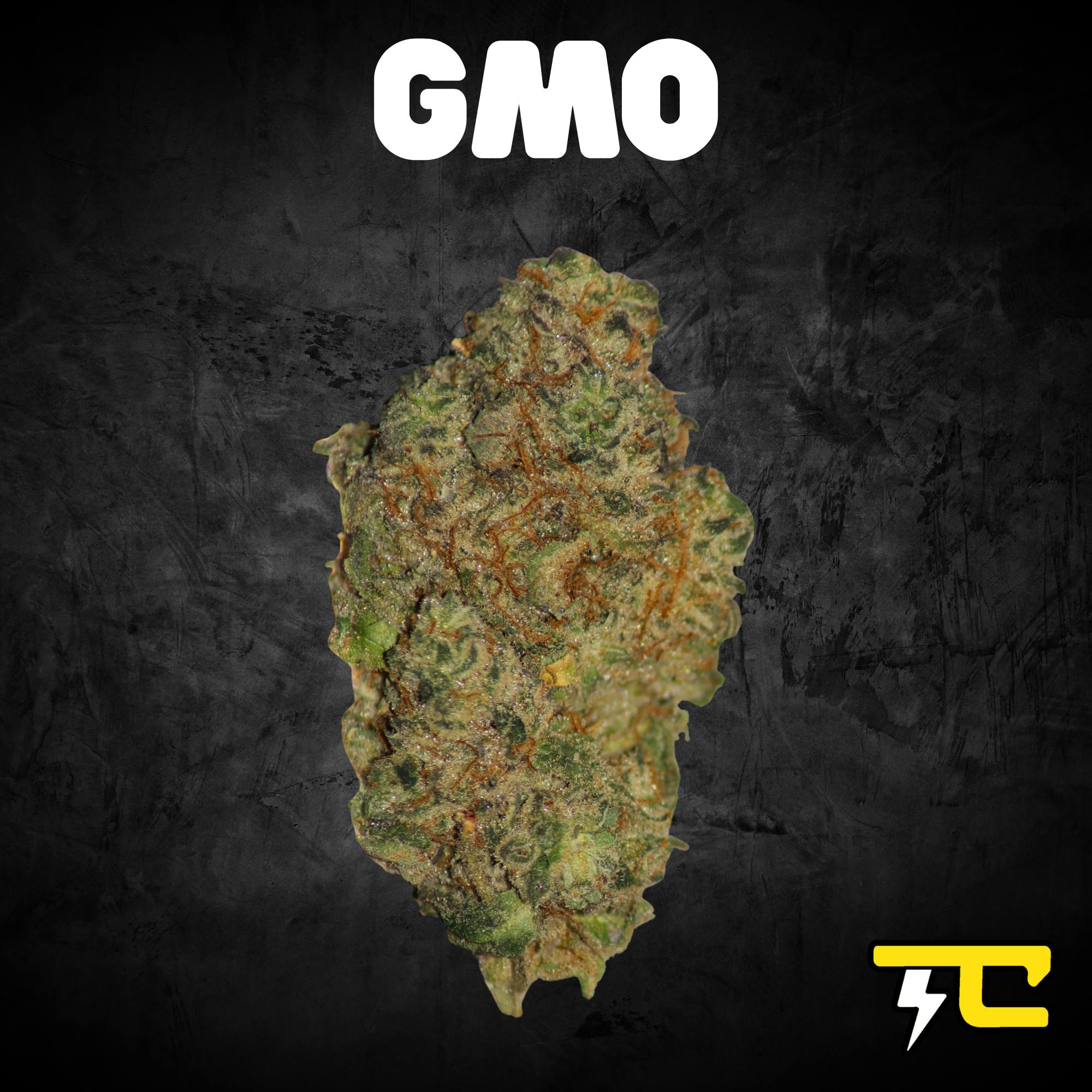 GMO 14G