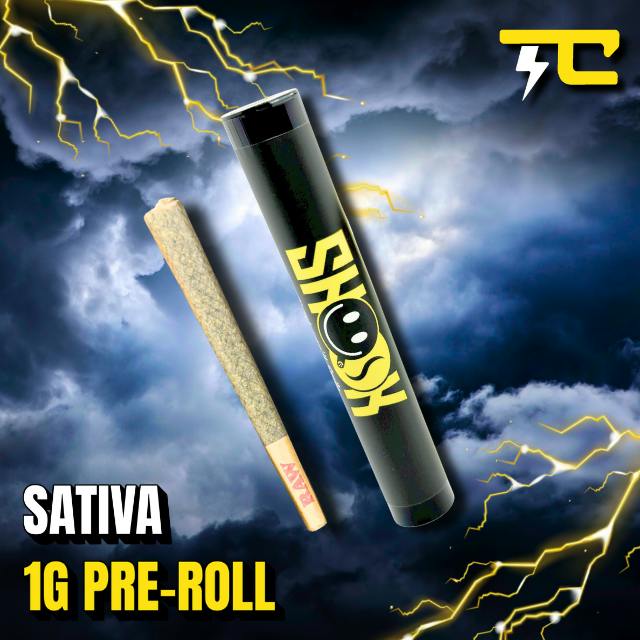 JACK HERER - SHOOK 1G PRE-ROLL