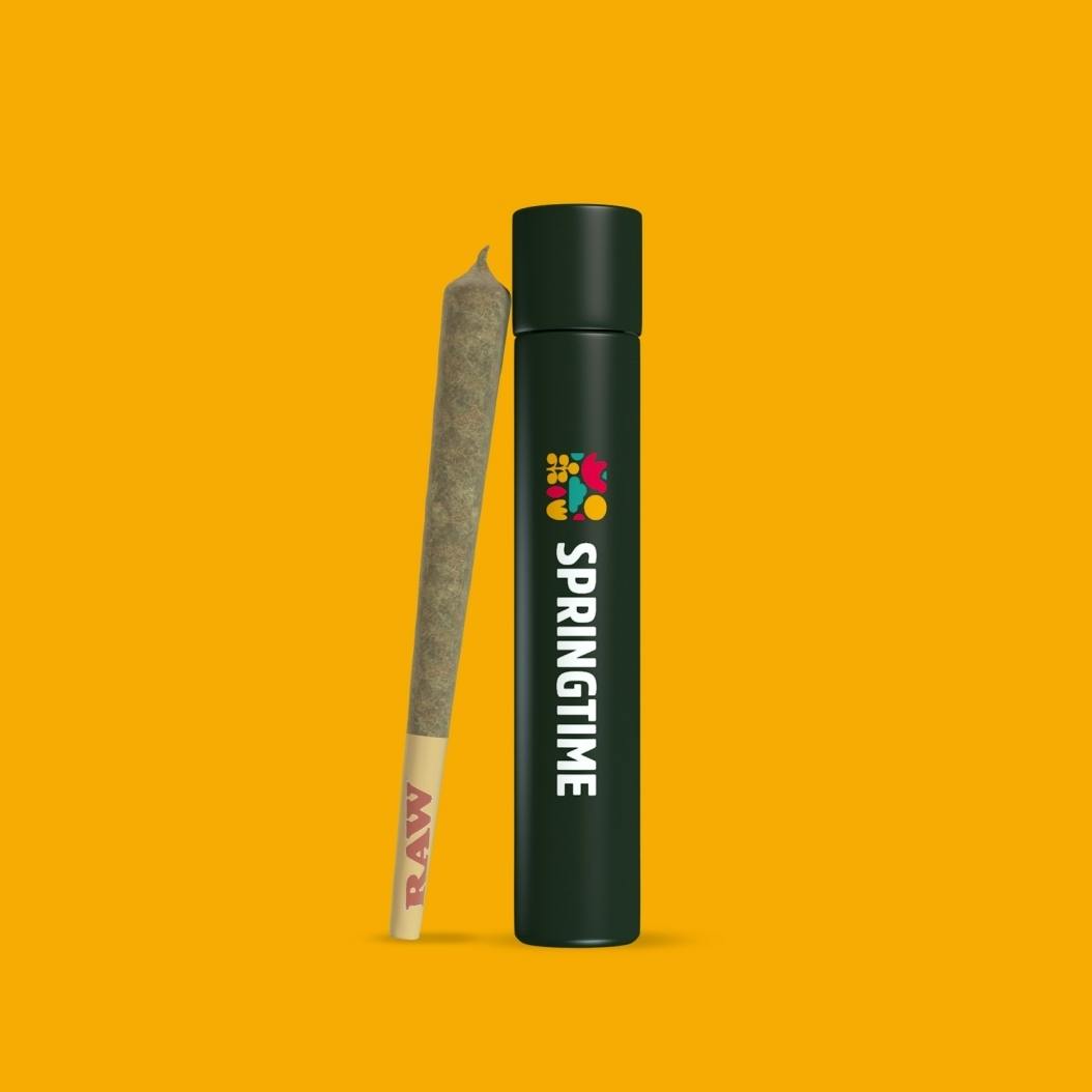 Springtime Preroll (1.0g) Gotti Beltz at Nature's Medicines