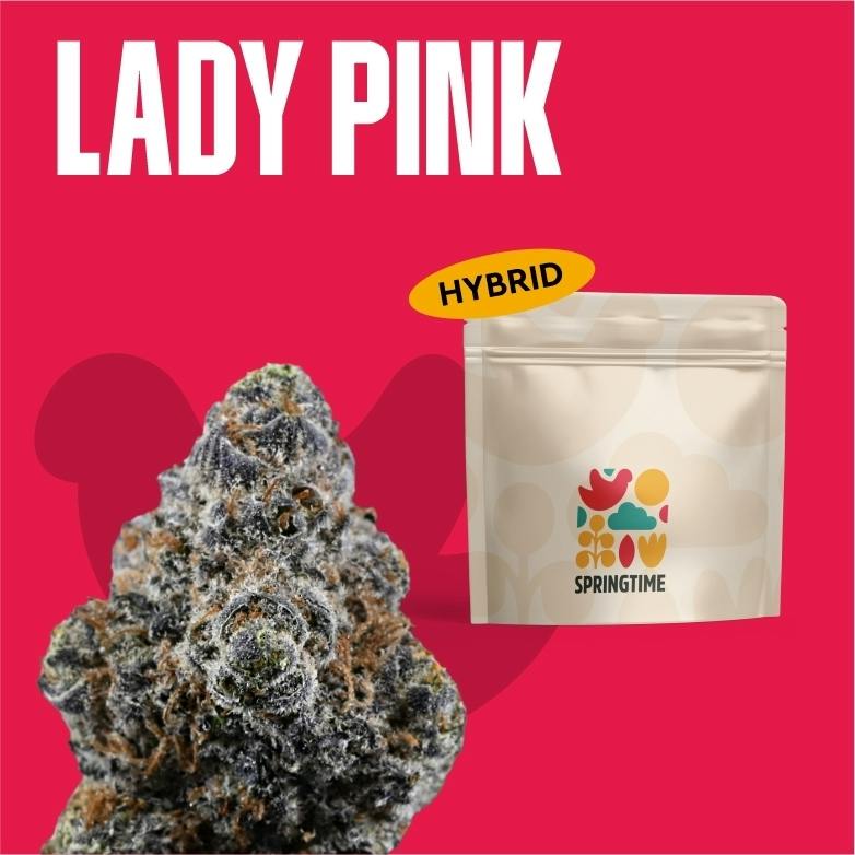 Springtime Prepack (1/8 oz) Lady Pink at Nature's Medicines