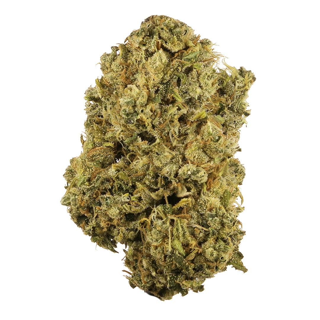 Silver Shelf - Mango Sunshine (S) at Social Dispensary Golden