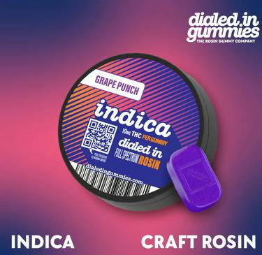 Dialed In - Rosin Gummies - Grape Punch (I)