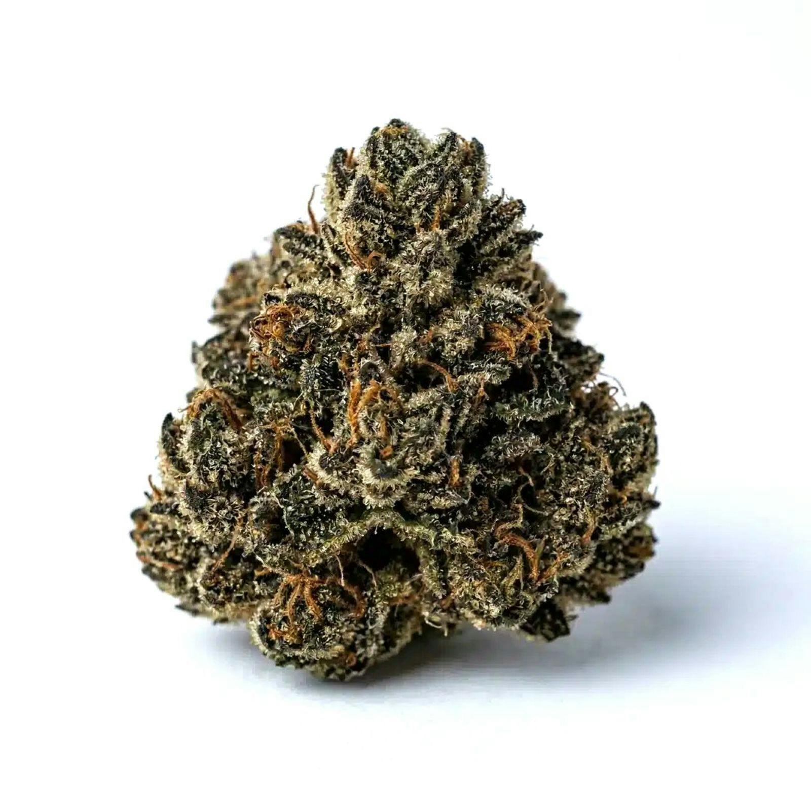 Platinum Shelf - Mr Nasty (I)