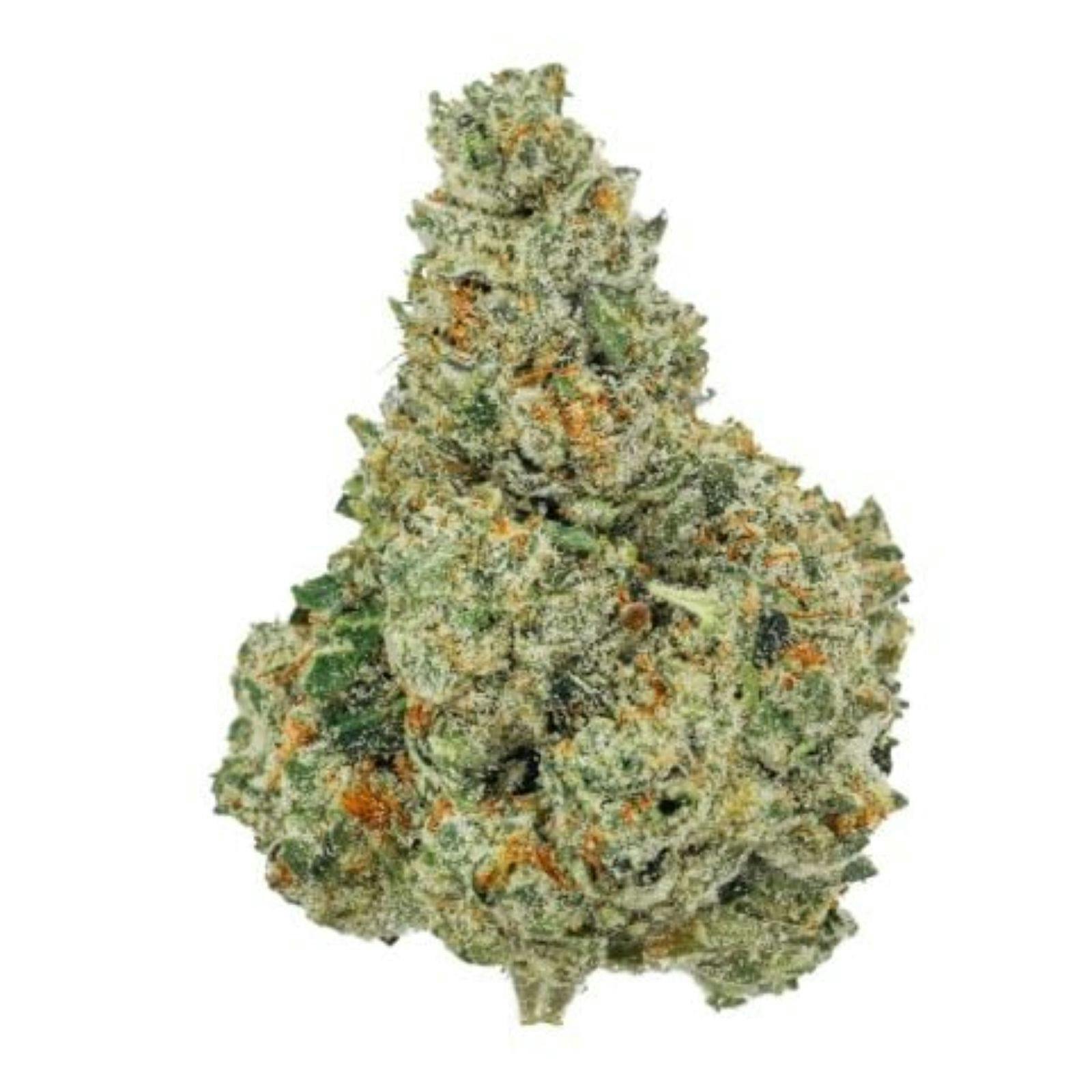 Platinum Shelf - Jet Fuel Gelato x Traingle Kush (I)