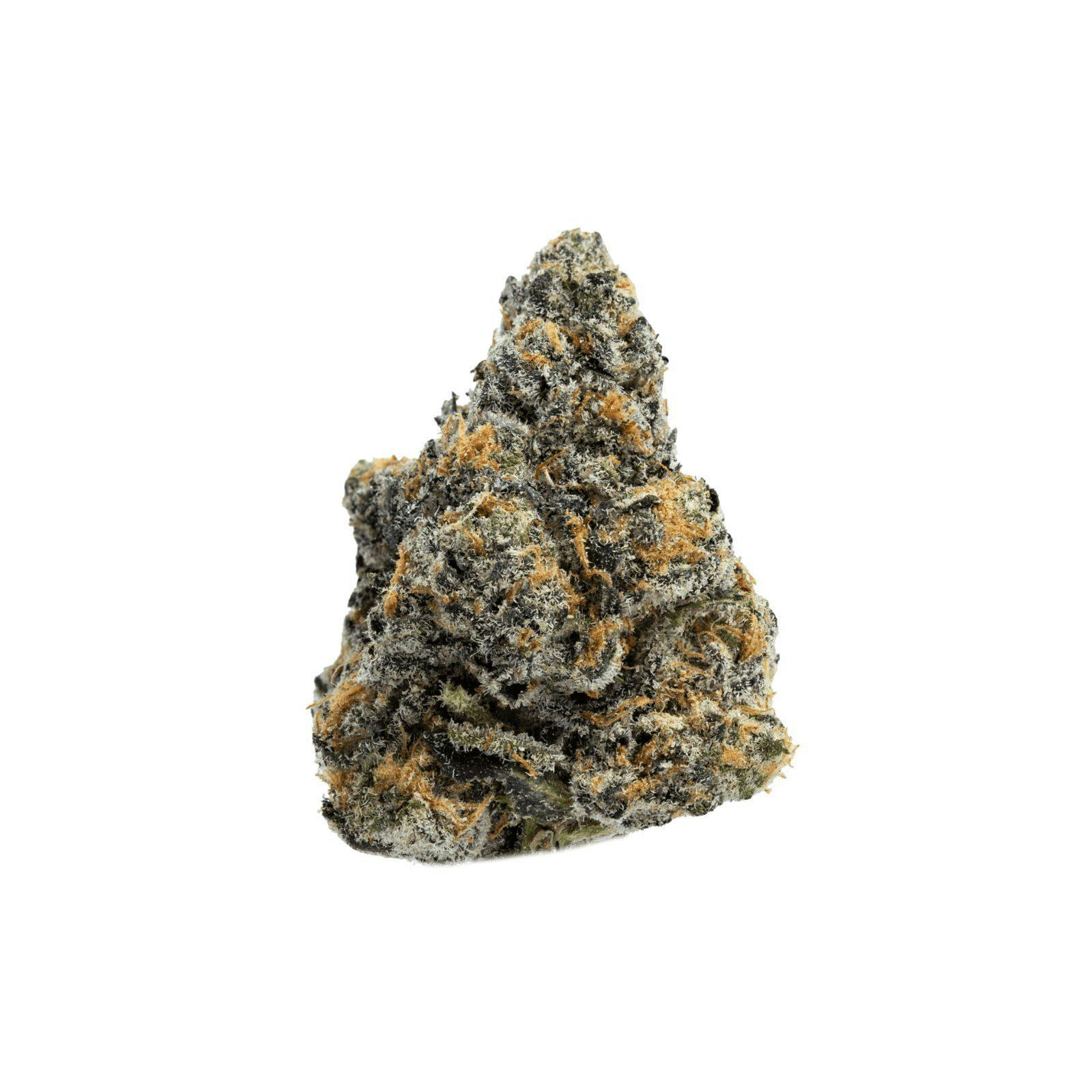 Silver Shelf - Ghost Dawg (I)