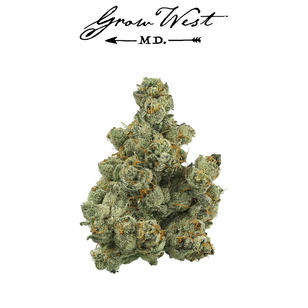 Premium | Jack Herer | Grow West